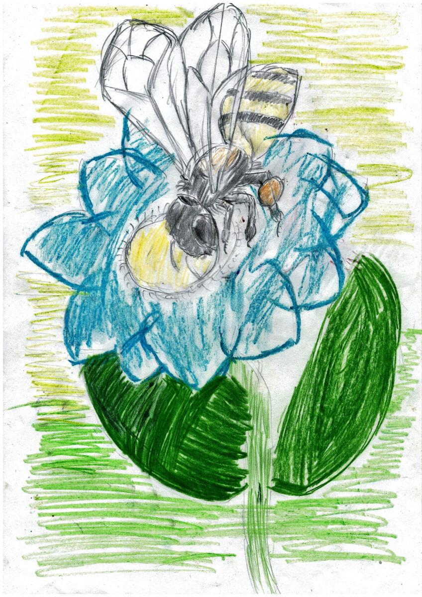 Раскраски Пчелка Майя — Распечатать бесплатно